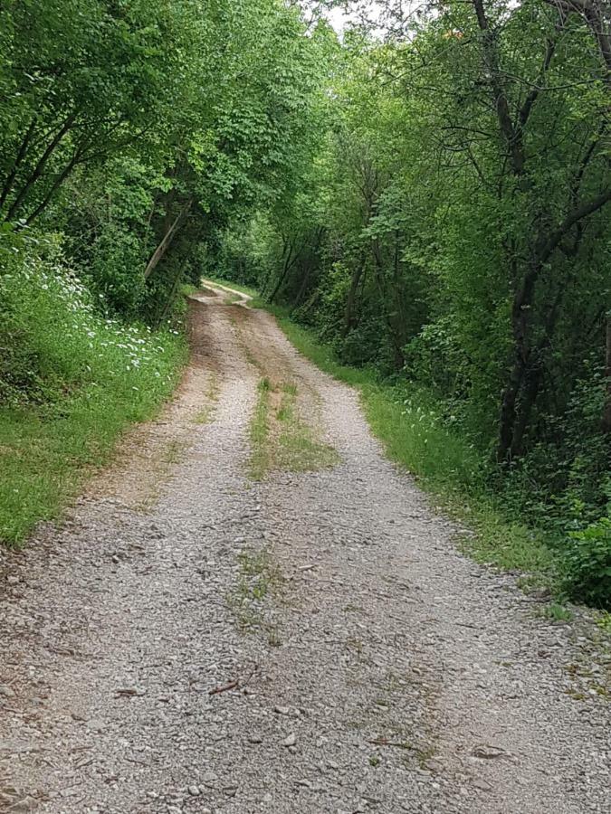 Urinj Appartement Kostrena Buitenkant foto